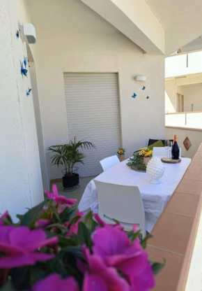Conchiglia Home Non una semplice vacanza ma un'esperienza indimentecabile Sei pronto per la Sicilia